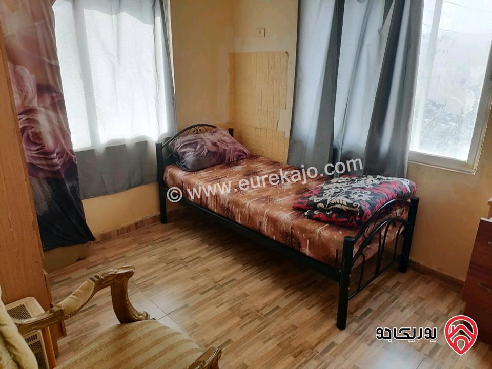 شقق مفروشة للايجار في اربد شارع الجامعة الرئيسي 