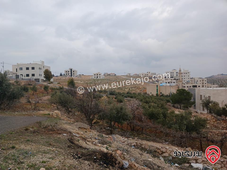 قطعة ارض مساحة 757م للبيع في عمان - شفا بدران