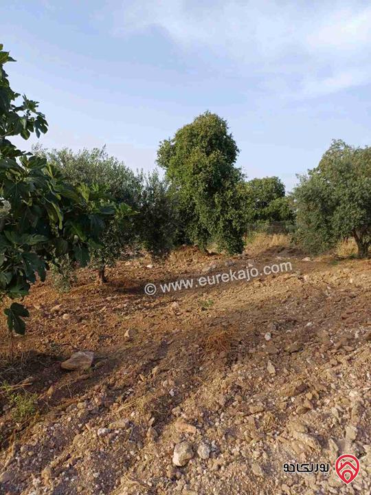 مزرعة مساحة 14 دونم للبيع في اربد - أراضي بني كنانة منطقة سمر