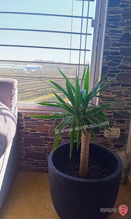 شقة طابق ثالث مساحة 140م للبيع في عمان - حي الصحابة