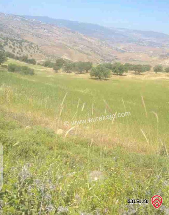 قطعة أرض مساحة 3400م استثمارية للبيع في الزرقاء - العالوك بيرين  قرب الكمشه