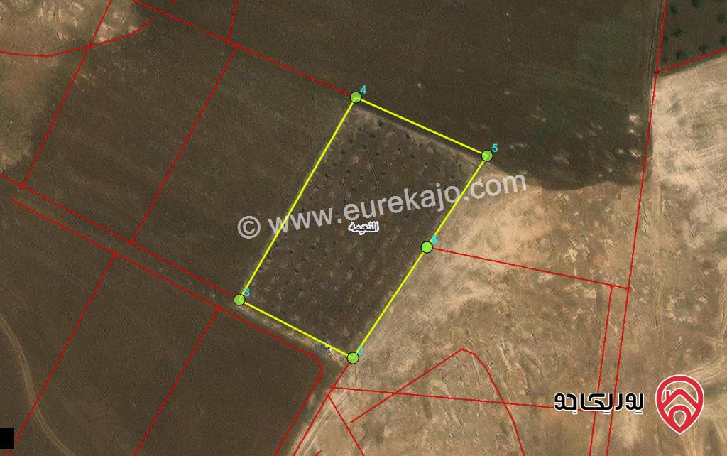 قطعة ارض مساحة 4031م للبيع في اربد - النعيمة حوض ابو الحمام المتوسط