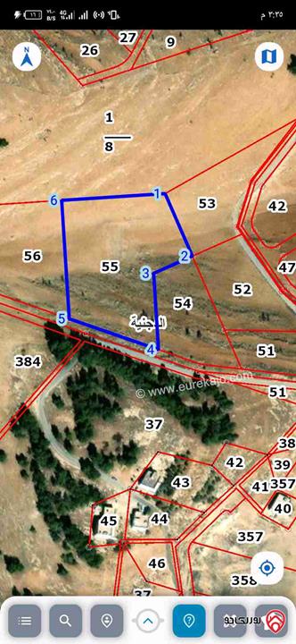 قطعة أرض مساحة 9 دونم و 519م للبيع في المفرق قرية الدجنية طريق اربد الزرقاء مثلث الدجنية 