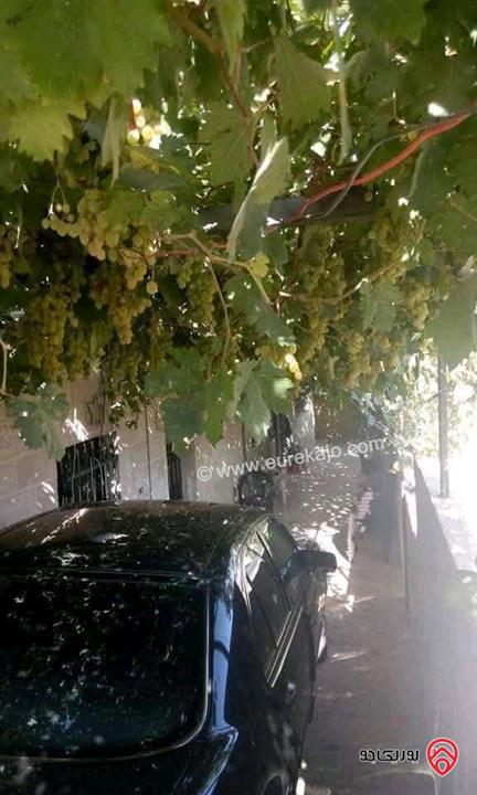 بيت مستقل دوبلكس مساحة 300م على أرض 500م للبيع في عمّان – أم نوارة 