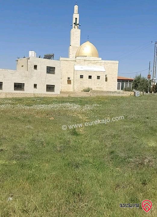 أرض مميزة مساحة 503م للبيع في عمان - الطنيب تبعد 400م عن ممر عمان التنموي