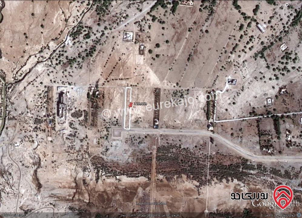 أرض مساحة 5000م للبيع في البحر الميت - السويمة