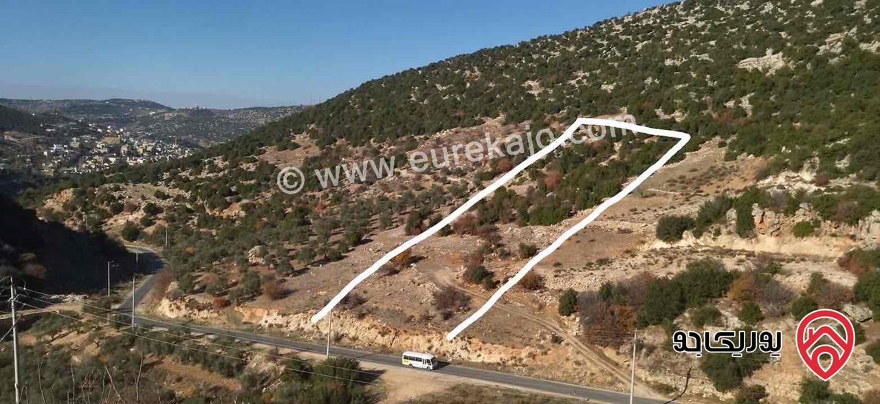 قطعة ارض مساحة 7 دونم للبيع في عجلون رامون 