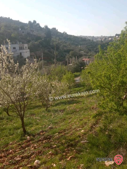 أرض /مزرعة للبيع في اربد- المزار الشمالي مساحة 4288م