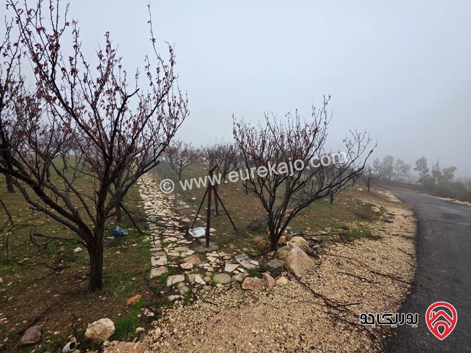 قطعة أرض مساحة 750م للبيع في عمان - ناعور