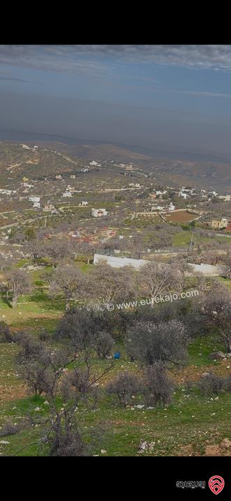 ارض مساحة 3 دونم و 750م للبيع في الزرقاء - العالوك