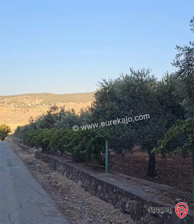 قطعة أرض مميزة جدا مساحة 5 دونم للبيع في السلط جلعاد 