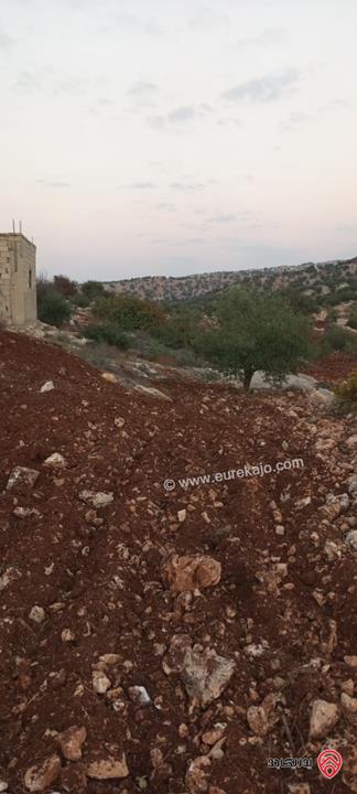قطعة ارض مساحة 11 دونم و 688م للبيع في عجلون 