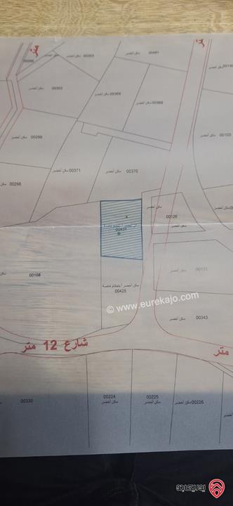 فيلا مساحة 320م على أرض 1 دونم و 473م للبيع في عمان - دابوق