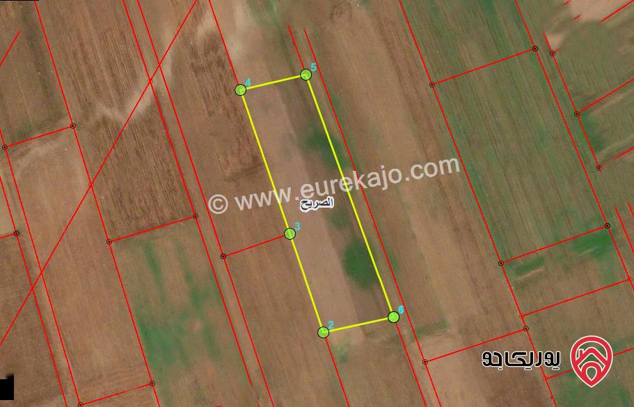 أرض مساحة 1850م مشترك للبيع في اربد - من اراضي الصريح ضمن حوض الحمراء الشرقية 