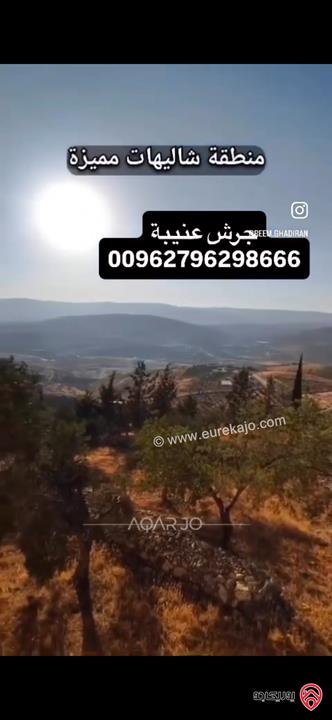 قطعة ارض استثمارية مساحة 3 دونم و 400م للبيع في جرش عنيبة