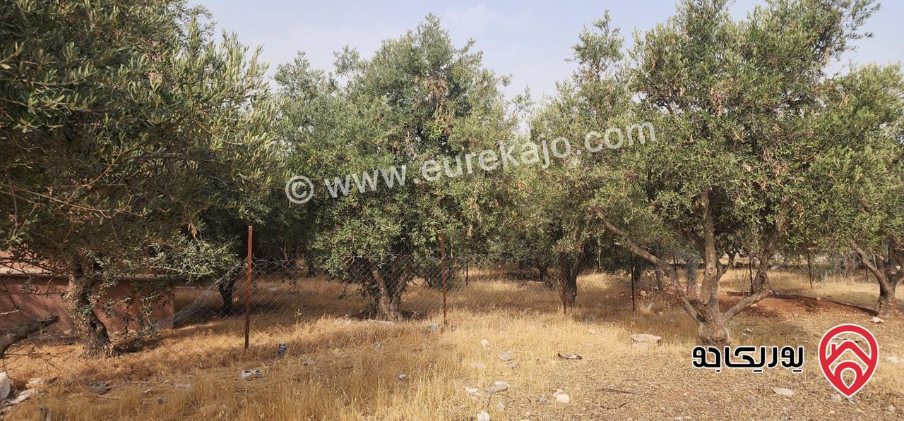 بيت مستقل مساحة 130م محاط ببستان واسع على ارض 767م للبيع في عمان - البنيات 