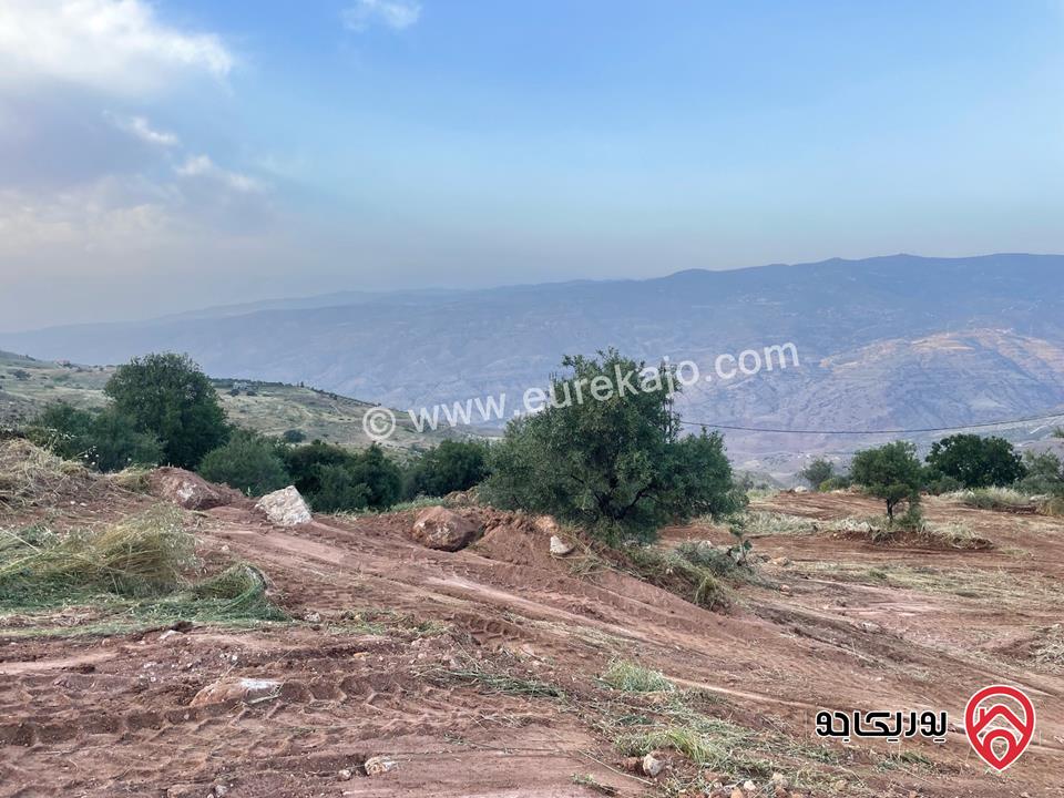 قطعة أرض مساحة 2 دونم و 230م للبيع في السلط - الصبيحي 