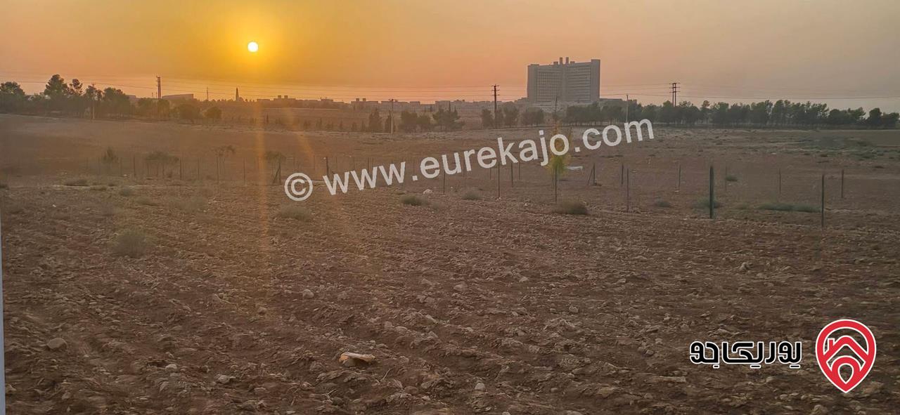 قطعة أرض مساحة 1 دونم و 73م للبيع في اربد - الرمثا