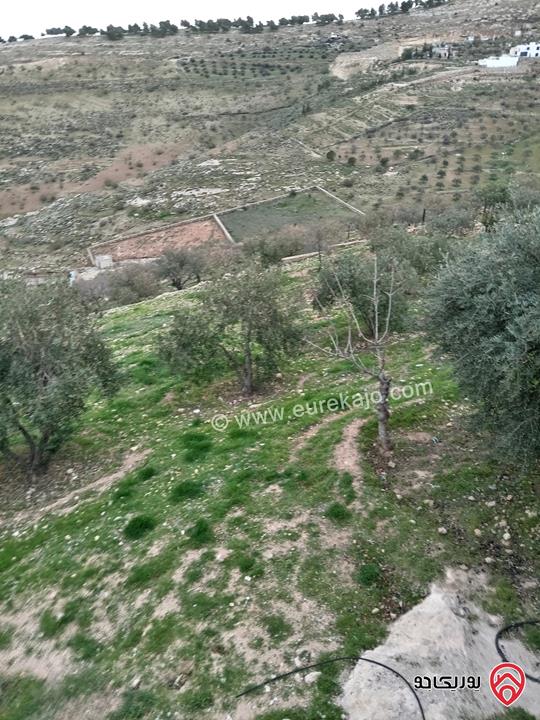 قطعة أرض مساحة 10 دونم و 704م للبيع في الزرقاء - بيرين