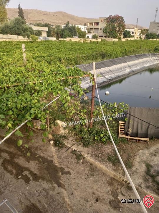 أرض زراعية مساحة 9 دونم و 526م للبيع في اربد - الأغوار الشمالية/منطقة ابوسيدو 