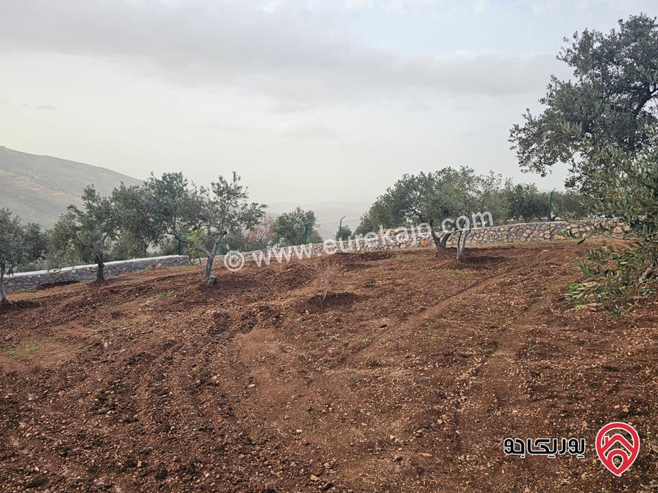 أرض مساحة 3464م للبيع في السلط – الصبيحي