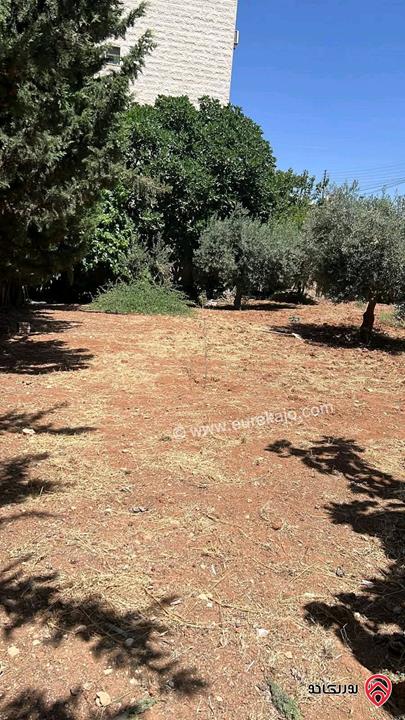 فيلا مساحة 400م على أرض 754م للبيع في عمان - ابو نصير 