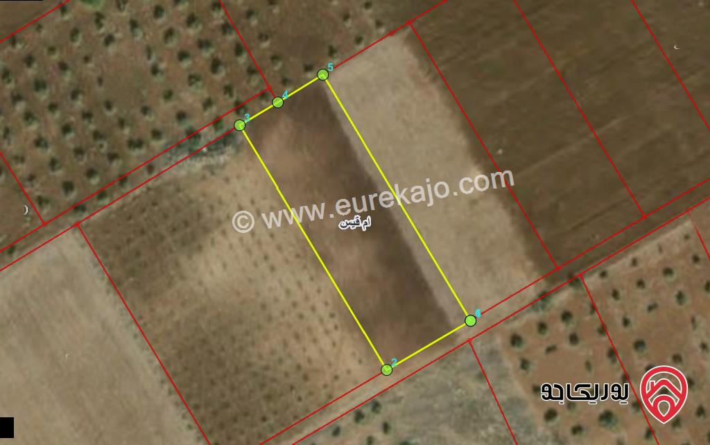 قطعة ارض مساحة 3 دونم و 651م للبيع في اربد - ام قيس اراضي بني كنانة 