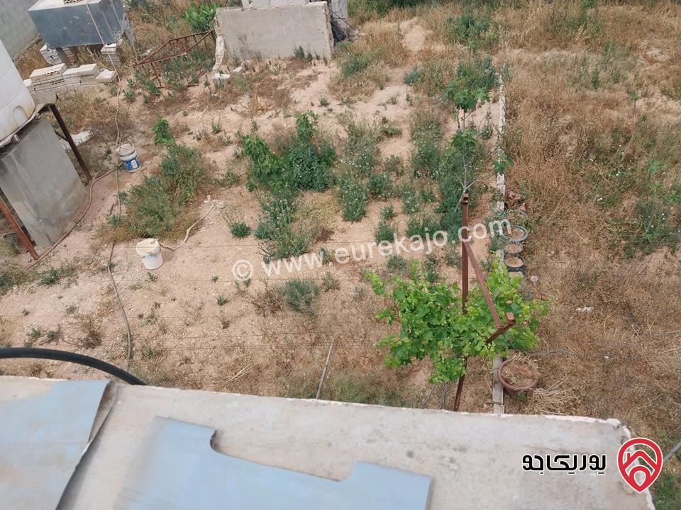 مزرعة مساحة الأرض 5217م وفيها بناء 80م للبيع في المفرق - بلعما الزيتونة 