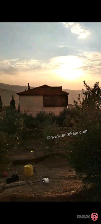 أرض مساحة 546م  للبيع في عمان - ناعور