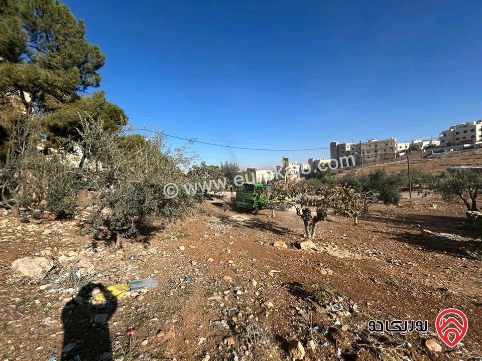 قطعة أرض مساحة 565م للبيع في عمان - أم نوارة 