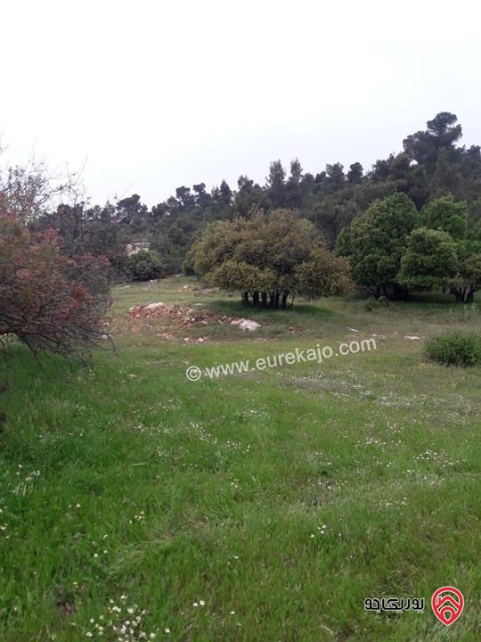 قطعة ارض للبيع في جرش- دبين مساحة 4100م