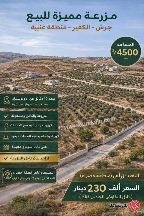 مزرعة مساحة 4500م للبيع في جرش - الكفير (عنيبه)