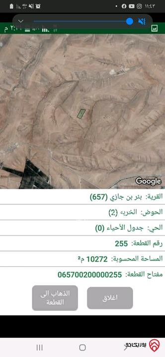 قطع اراضي زراعية بمساحه ١٠ دونم تقريبا للبيع في معان - من أراضي الشوبك مزرعة الفجيج و بئر بن جازي