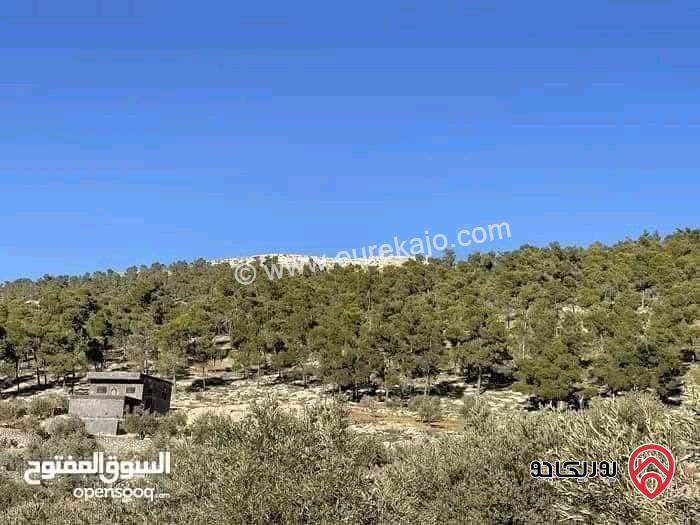 قطعة أرض مساحة 3 دونم و 401م للبيع في جرش - مقبله