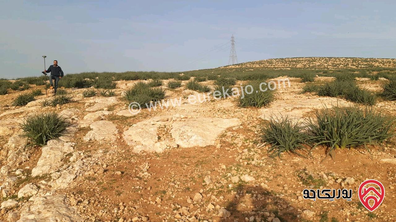أرض مساحة 543م للبيع في عمان - شفا بدران منطقة زينات الربوع حوض شكاره بالقرب من ترخيص شمال عمان