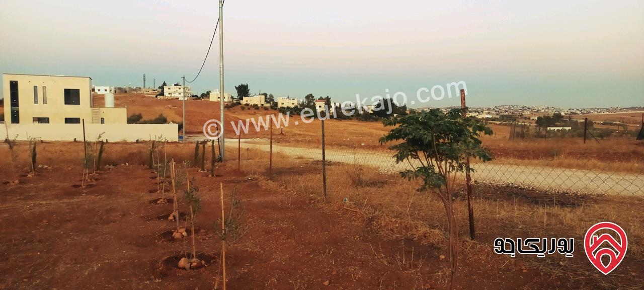 قطعة أرض مساحة 700م للبيع في المفرق