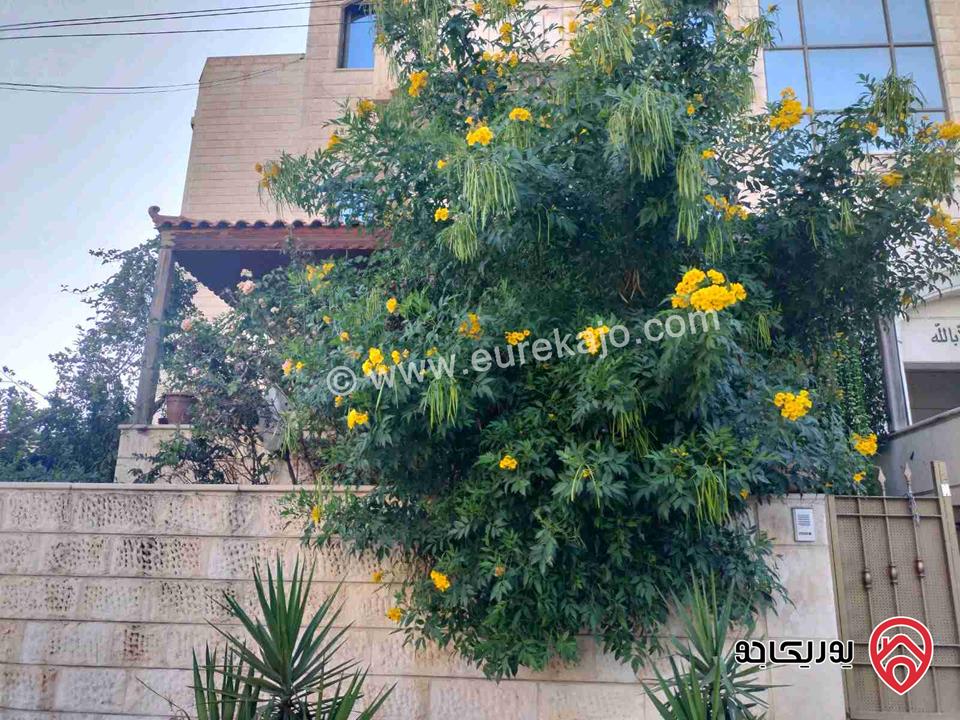 شقة أرضية مساحة 172م داخلي و 30م خارجي للبيع في عمان - طبربور 