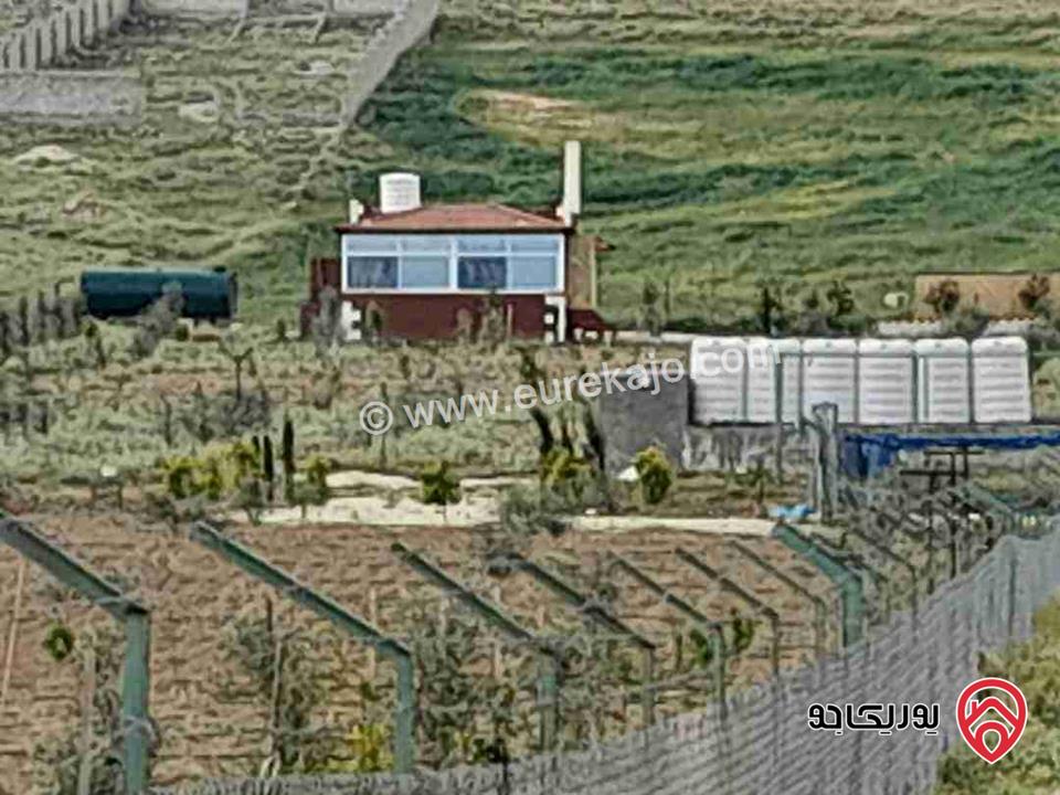 مزرعة مساحة 4 دونم للبيع في المفرق - بلعما 