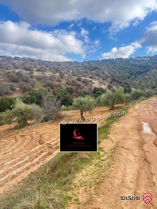 قطعة ارض مساحة 3 دونم و 400م مزروعة زيتون للبيع في السلط الديرة قرب زي 
