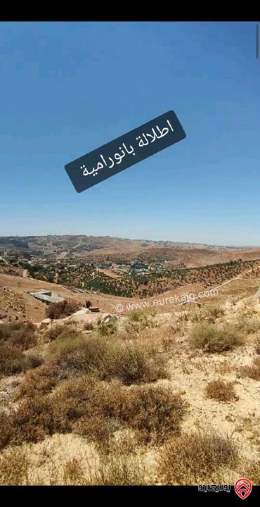 قطعة ارض استثمارية مميزة مساحة 500م للبيع في بيرين - ام رمانة اقساط او كاش 