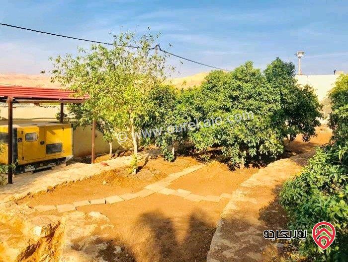 مزرعة وفيلا مفروشة بالكامل مساحة 300م على ارض 2 دونم و 368م للبيع في البحر الميت - جوفة الكفرين