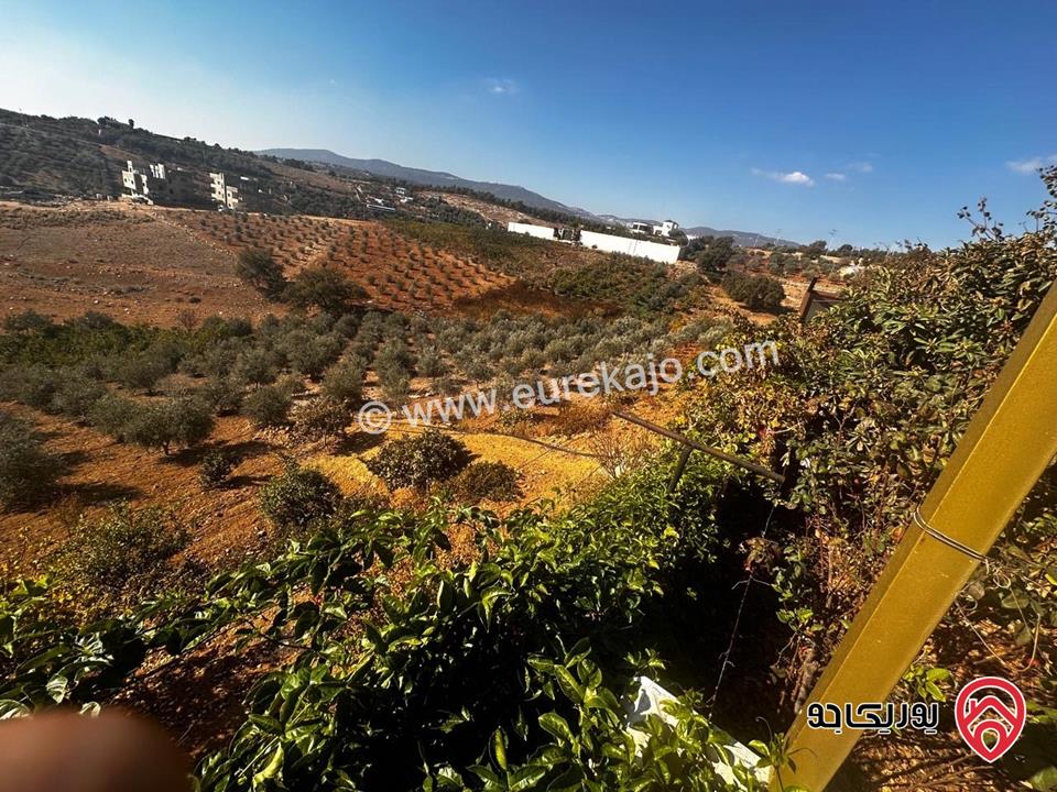 مزرعة فيها فيلا عدد 2 مساحة كل فيلا 300م على أرض 14 دونم للبيع في جرش