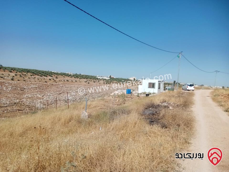 مزرعة مساحة 8700م للبيع في اربد بني كنانه منطقة يبلا 