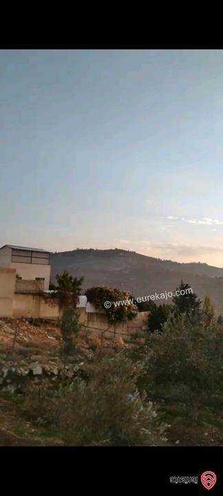 أرض مساحة 546م  للبيع في عمان - ناعور