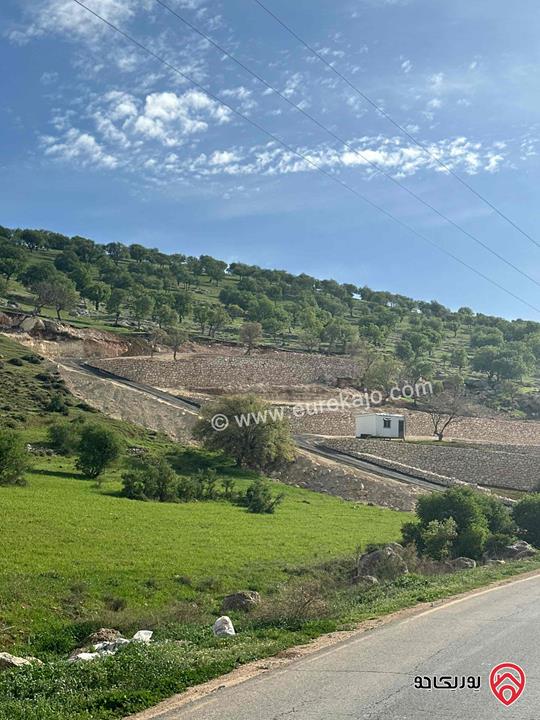 أرض مساحة 3 دونم و 400م للبيع في الزرقاء - صروت