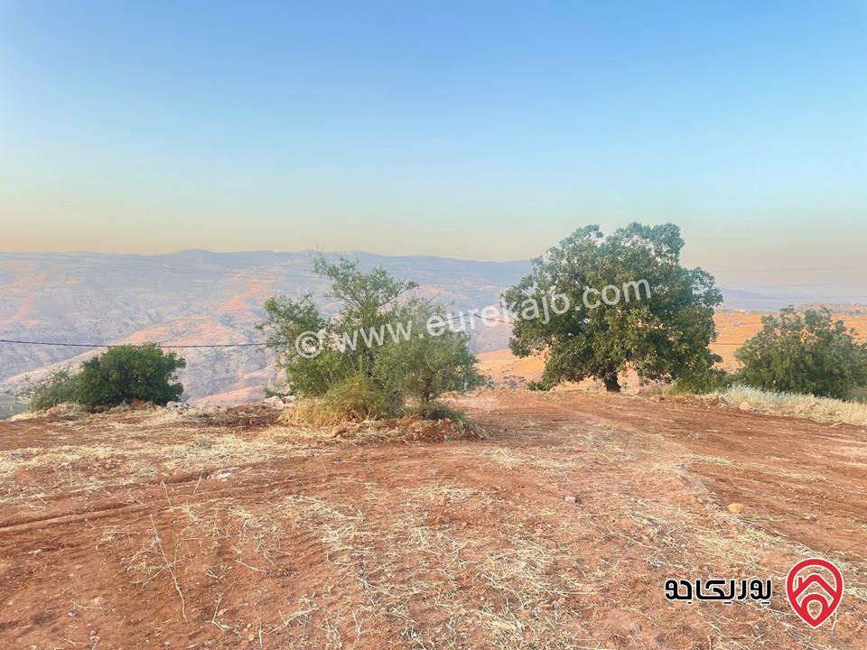 قطعة أرض مساحة 2 دونم و 230م للبيع في السلط - الصبيحي 