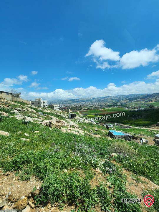 أرض مميزة مساحة 4 دونم و 800م للبيع في عمان - عين الباشا