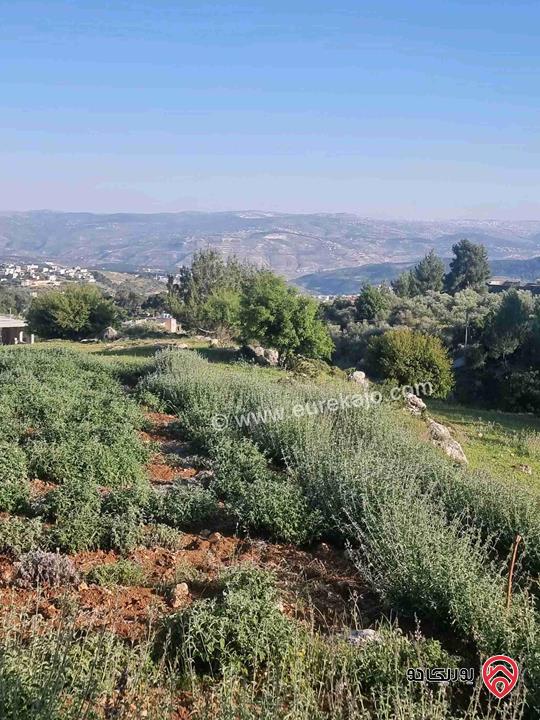 مزرعة جميلة جدا مساحة 18000م للبيع في جرش الكته حوض المحافير 