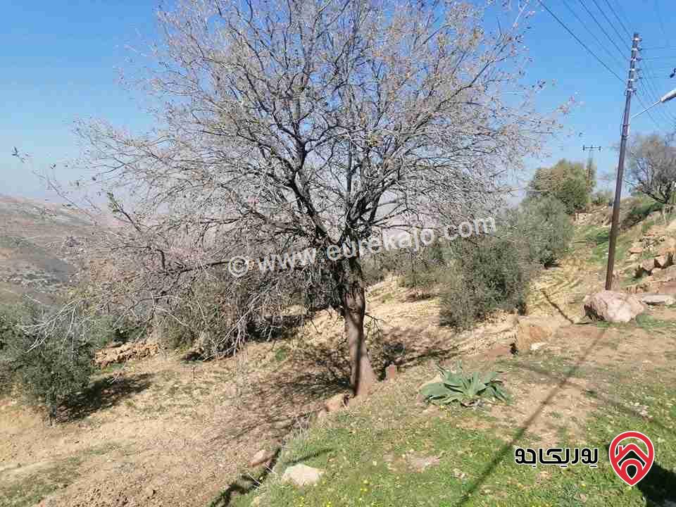 ارض مساحة 10 دونم للبيع في السلط - الصبيحي 