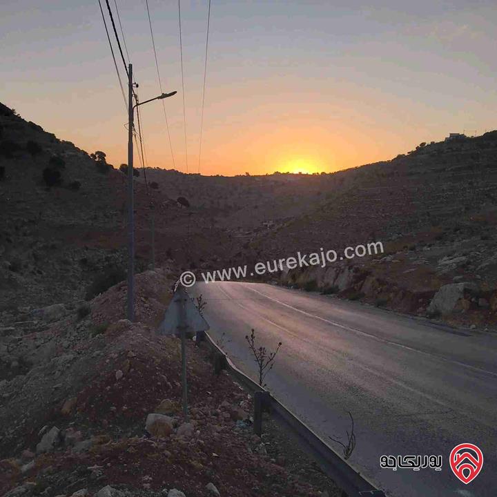 قطعتين أرض مساحة كل قطعة 9 دونم و 500م للبيع بسعر 90 ألف للقطعتين في السلط - القسام الغربي